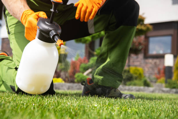 Best Pest Control Near Me in Hammonton, NJ