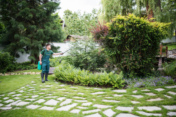 Pest Prevention Services in Hammonton, NJ