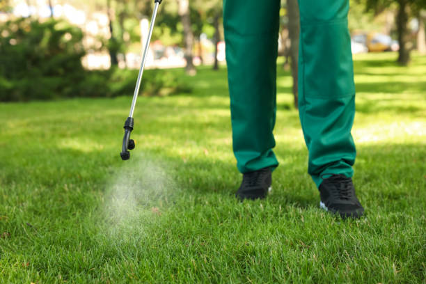 Bird Control in Hammonton, NJ