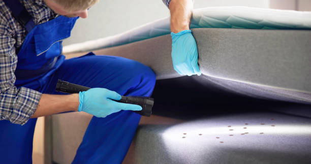 Best Pest Removal Services  in Hammonton, NJ