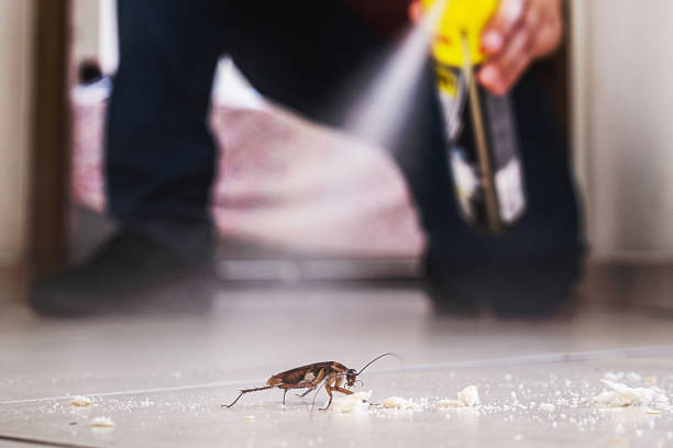 Best Residential Pest Control  in Hammonton, NJ